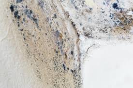 Best Residential Mold Inspection & Testing  in Atwood, KS